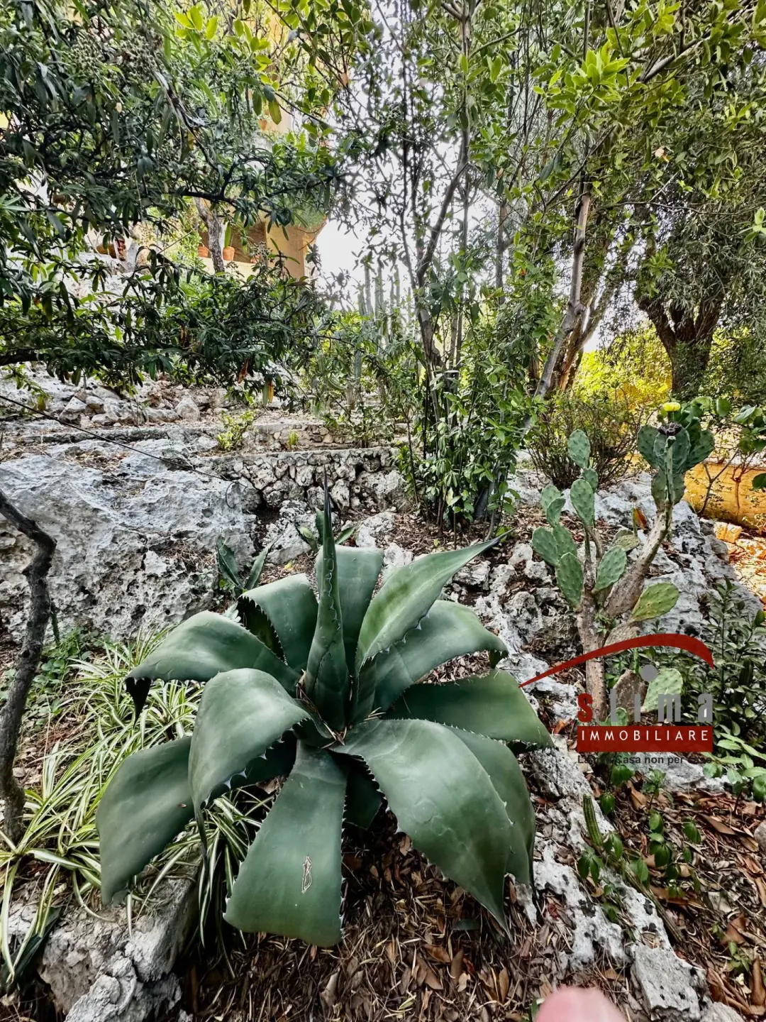 Immagine per Villa in vendita a Siracusa via ovidio 14