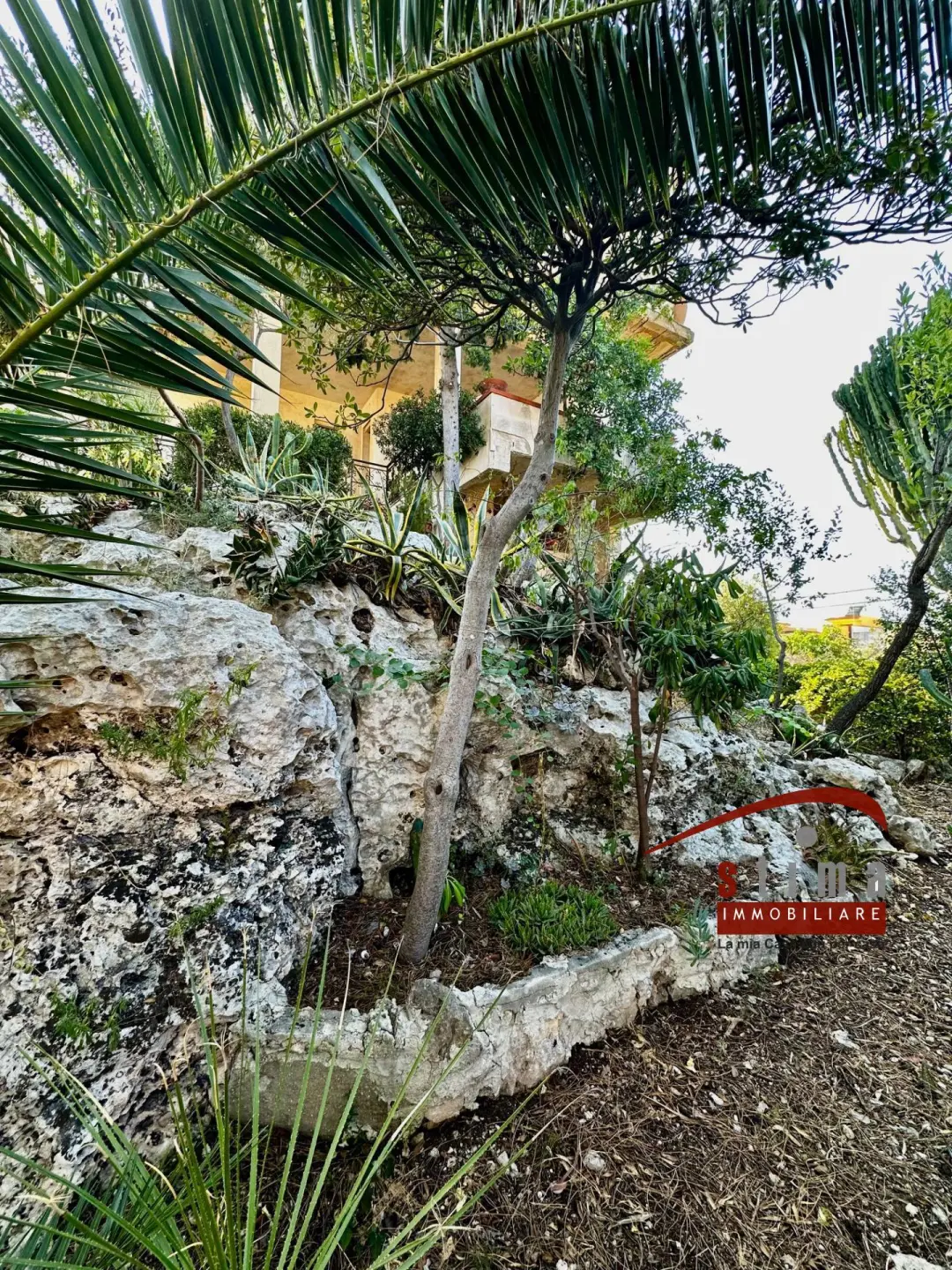 Immagine per Villa in vendita a Siracusa via ovidio 14
