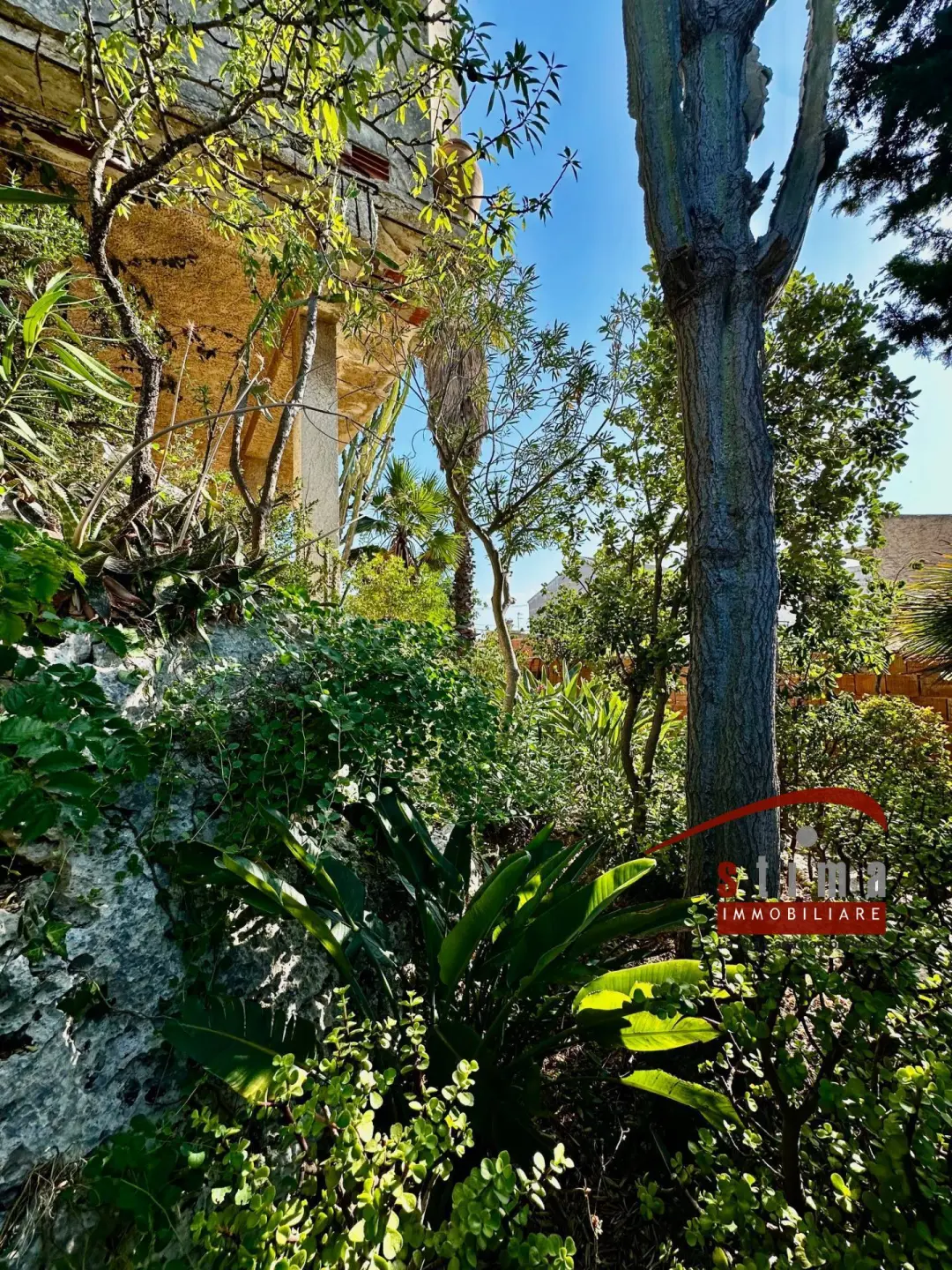 Immagine per Villa in vendita a Siracusa via ovidio 14