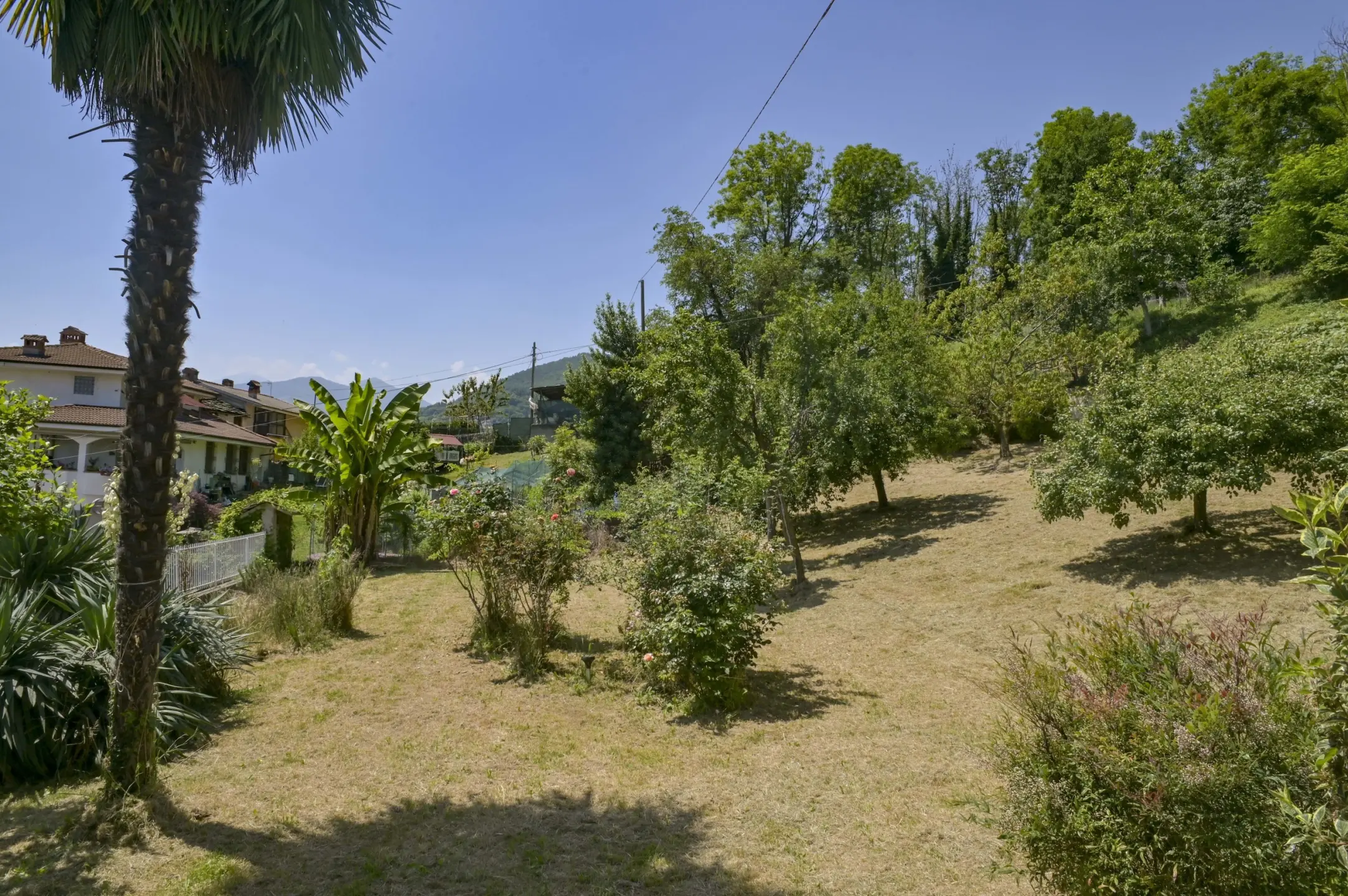 Immagine per Villa in vendita a Borgiallo via Luinengo Cossi 61