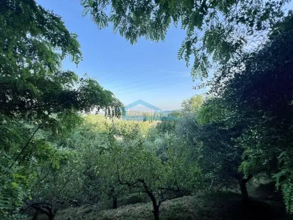 Uliveto via Castello 7, Adro