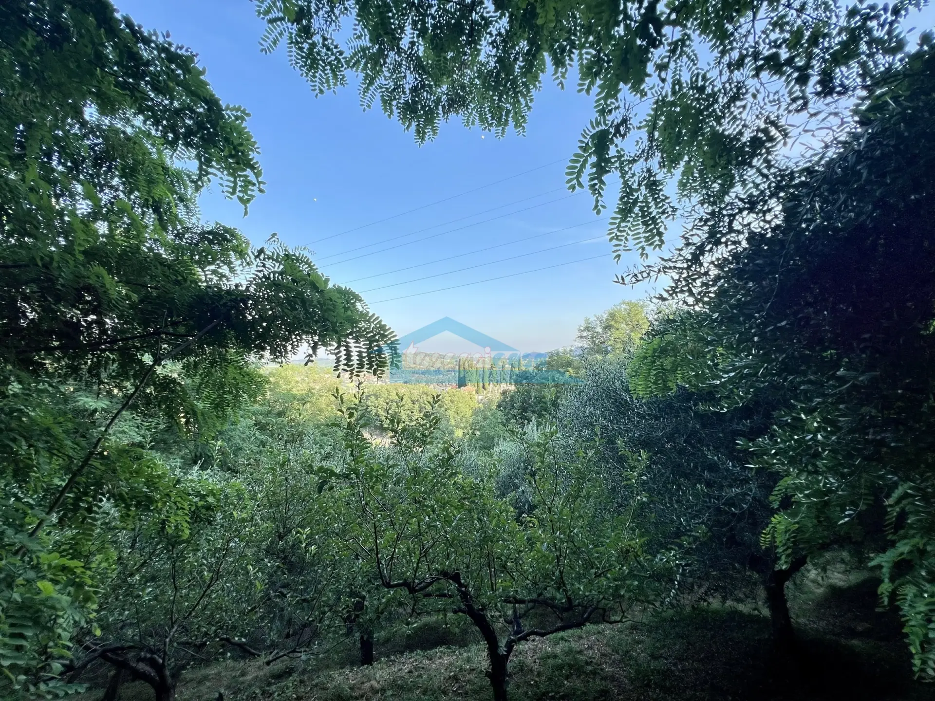Immagine per Uliveto in vendita a Adro via Castello 7