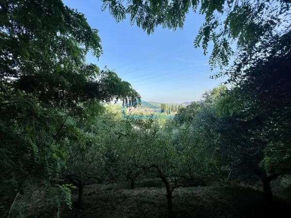 Uliveto via Castello 7, Adro