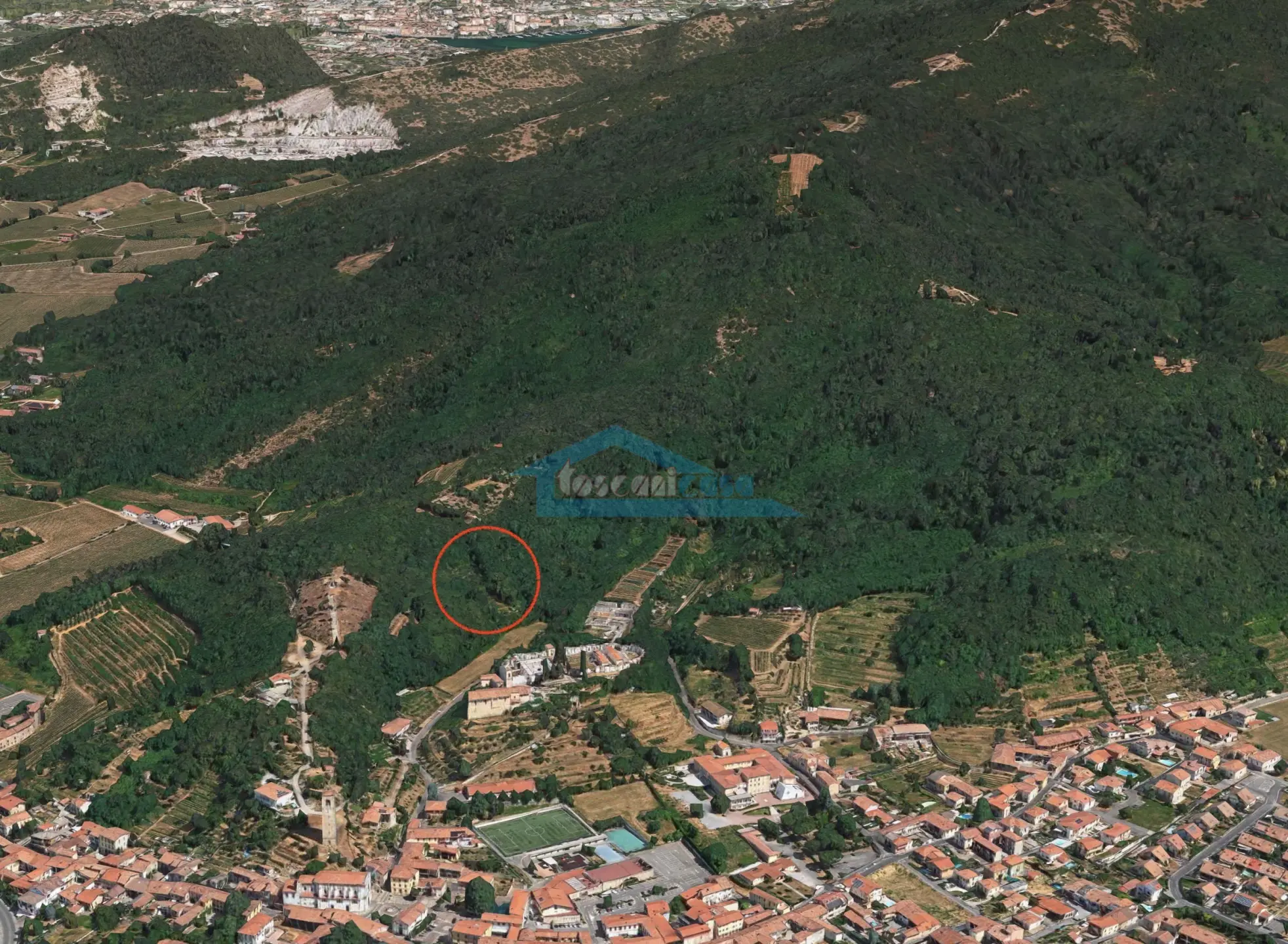 Immagine per Uliveto in vendita a Adro via Castello 7