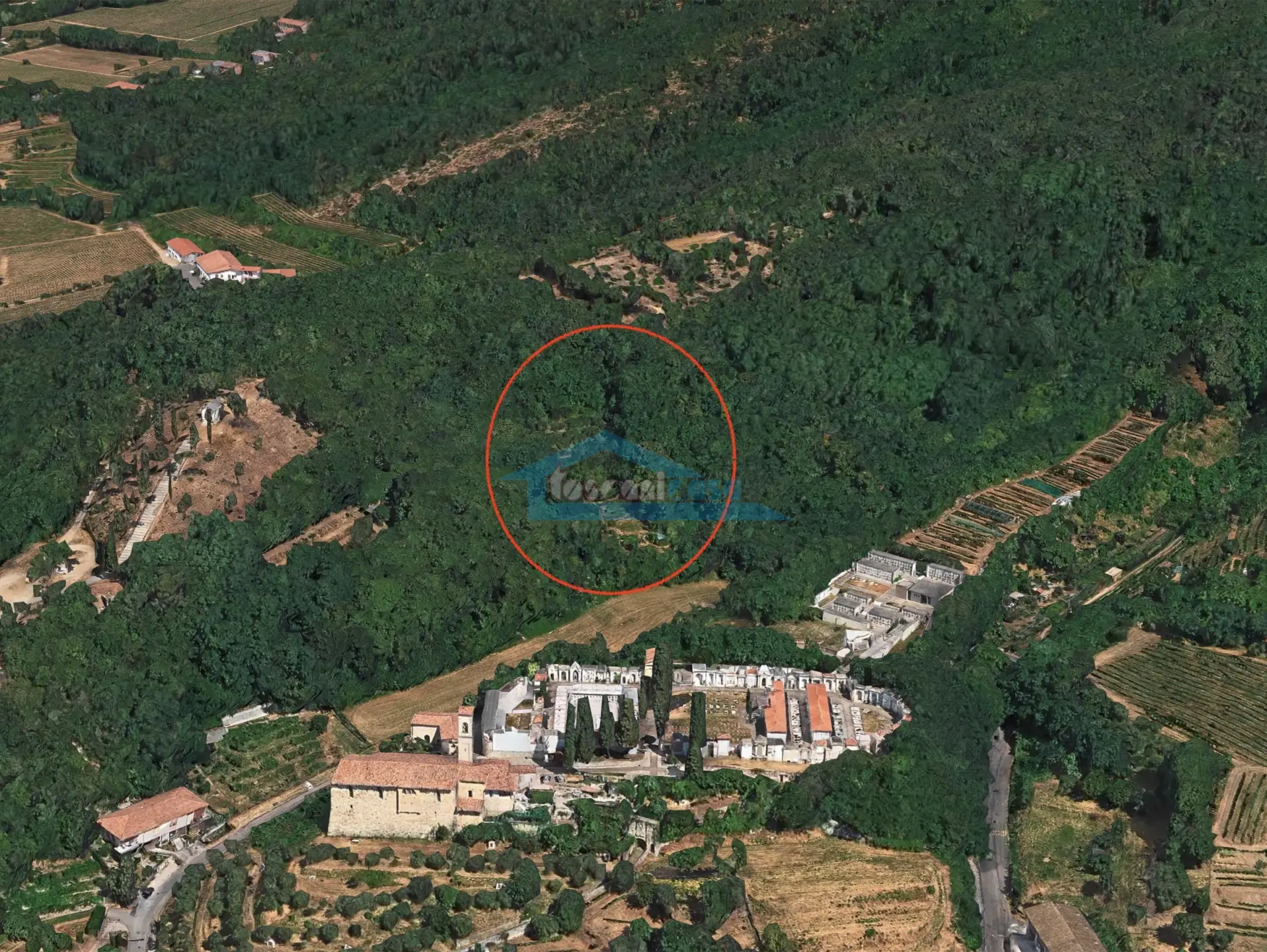 Immagine per Uliveto in vendita a Adro via Castello 7