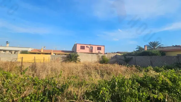 Vigneto via Cocco Ortu, Maracalagonis