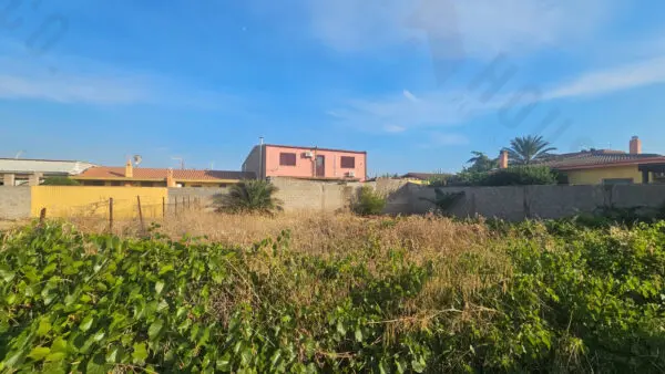 Vigneto via Cocco Ortu, Maracalagonis
