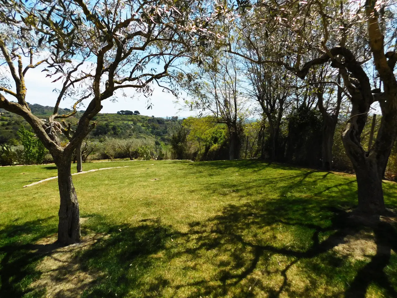 Immagine per Villa in Vendita a Piazza Armerina Contrada Scarante