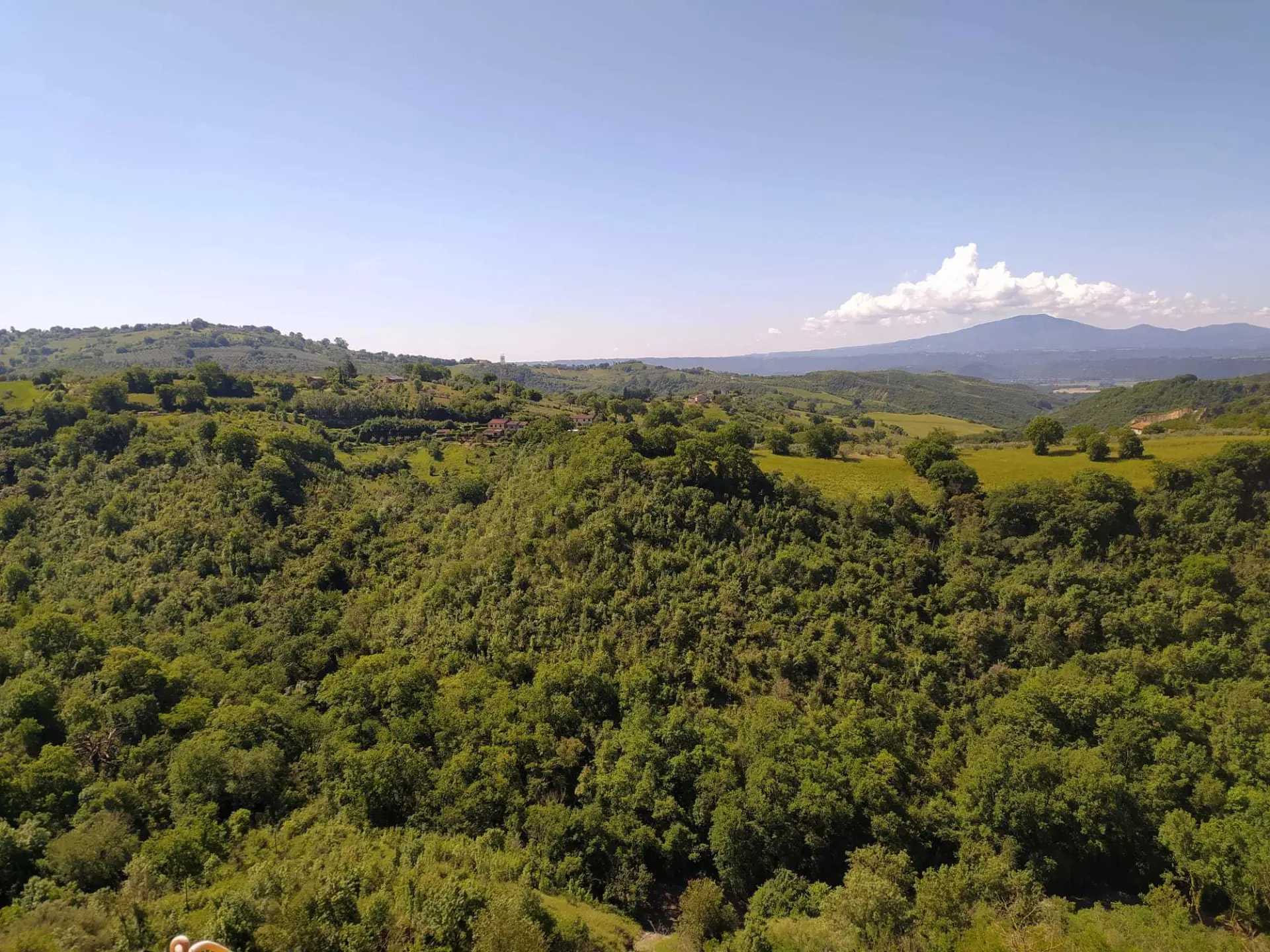 Immagine per Porzione di casa in vendita a Alviano via Umberto I