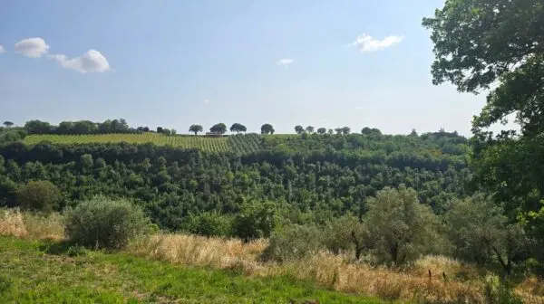 Casale via Vocabolo Menicaglie 9, Baschi
