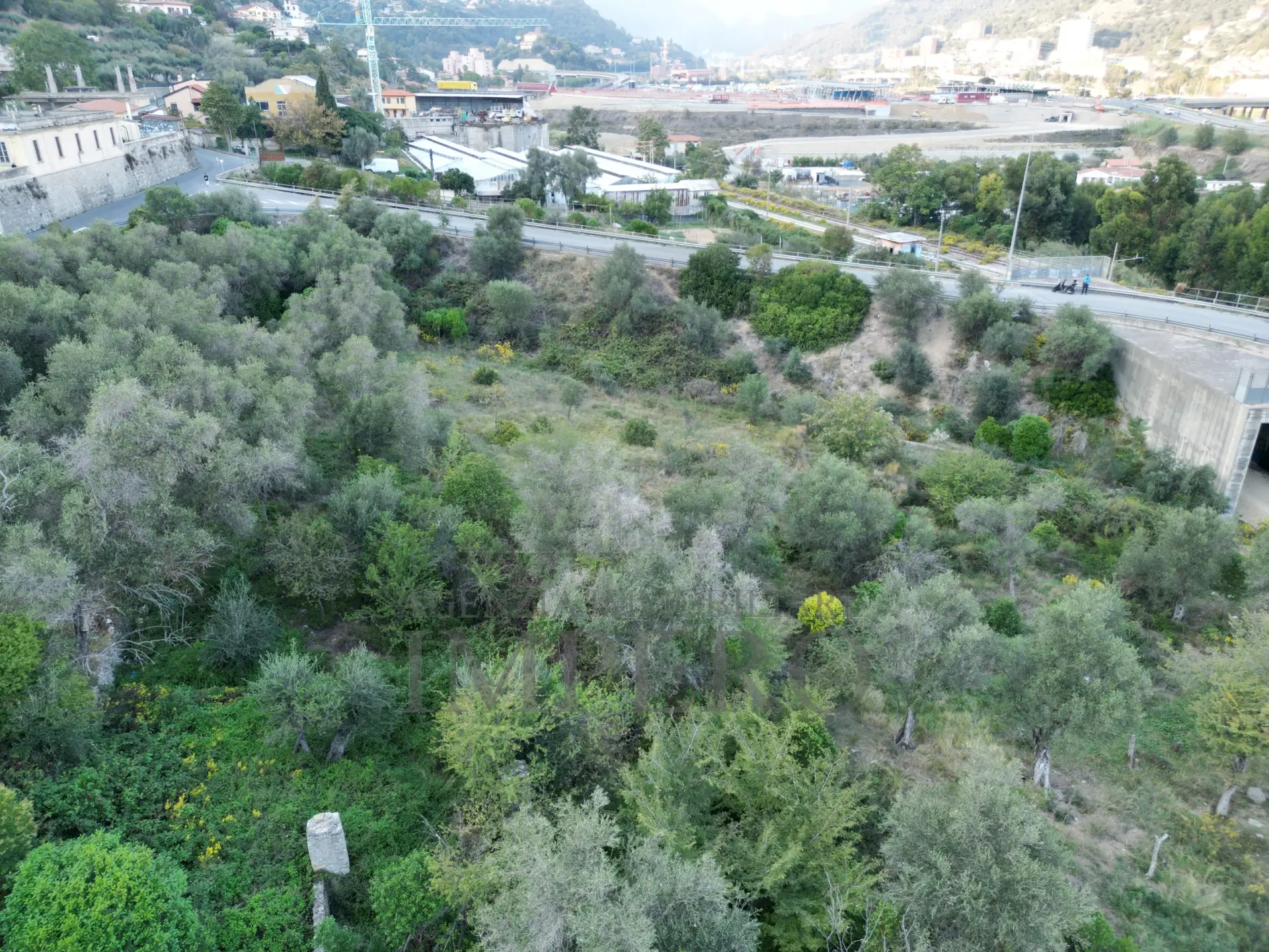 Immagine per Villa trifamiliare in vendita a Ventimiglia via Gallardi 22