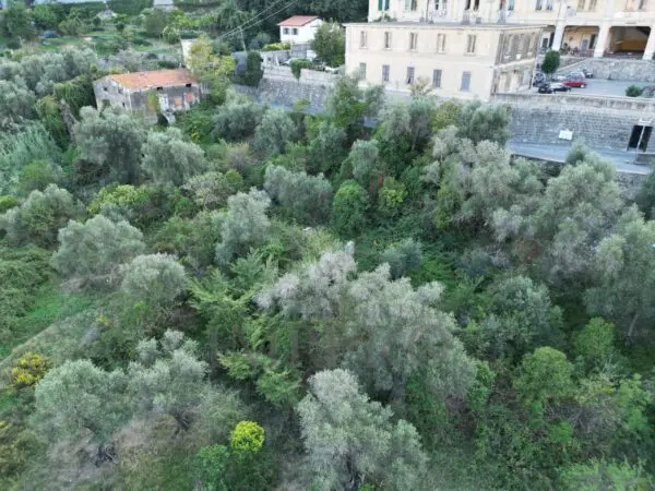 Villa Trifamiliare via Gallardi 22, Ventimiglia