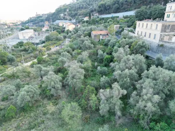 Villa Trifamiliare via Gallardi 22, Ventimiglia
