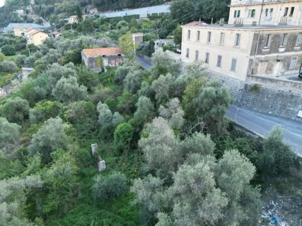 Villa Trifamiliare via Gallardi 22, Ventimiglia