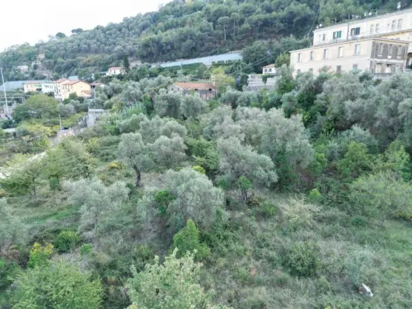 Villa Trifamiliare via Gallardi 22, Ventimiglia