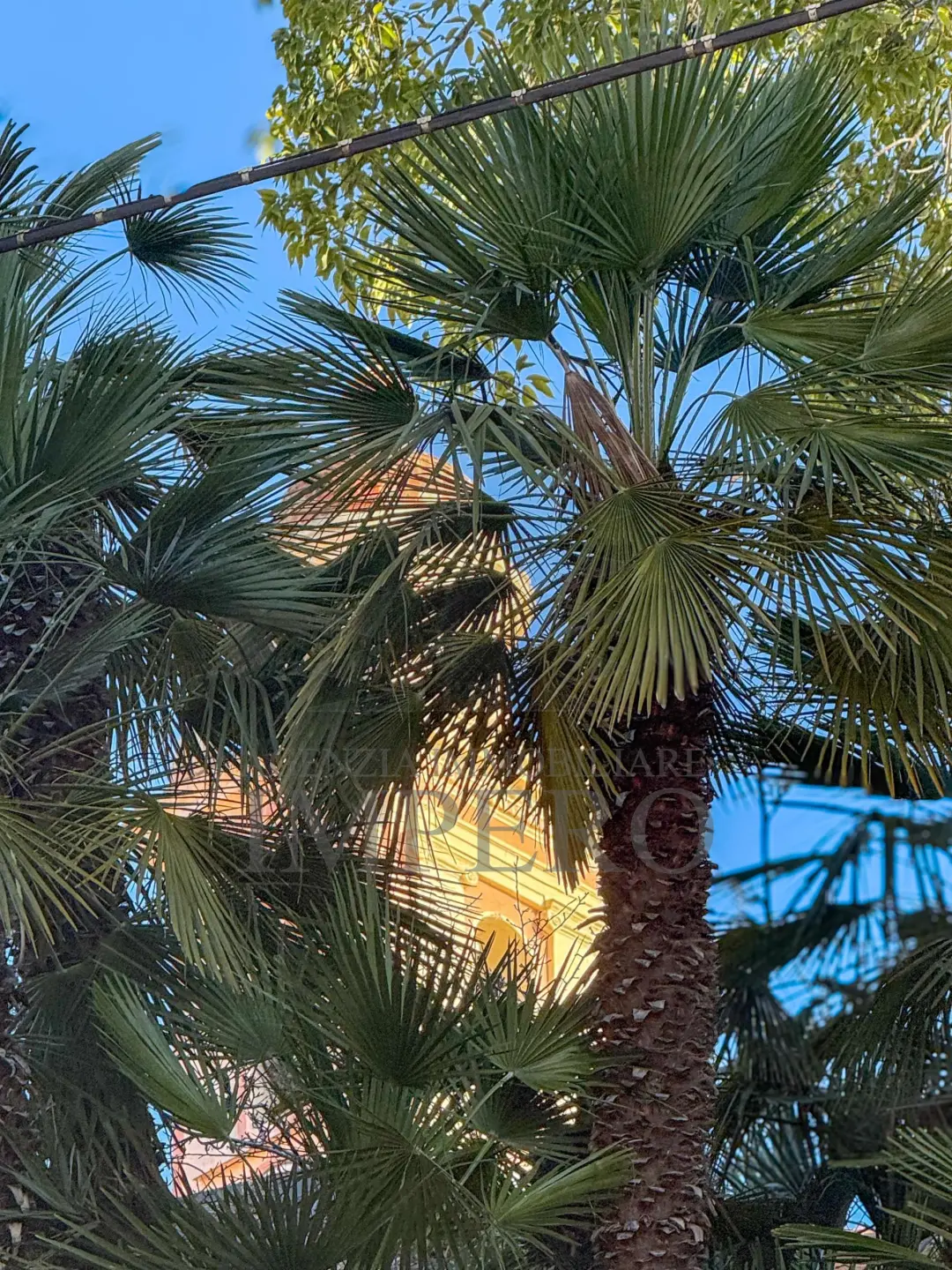 Immagine per Quadrilocale in vendita a Ventimiglia via Vico Hanbury 7