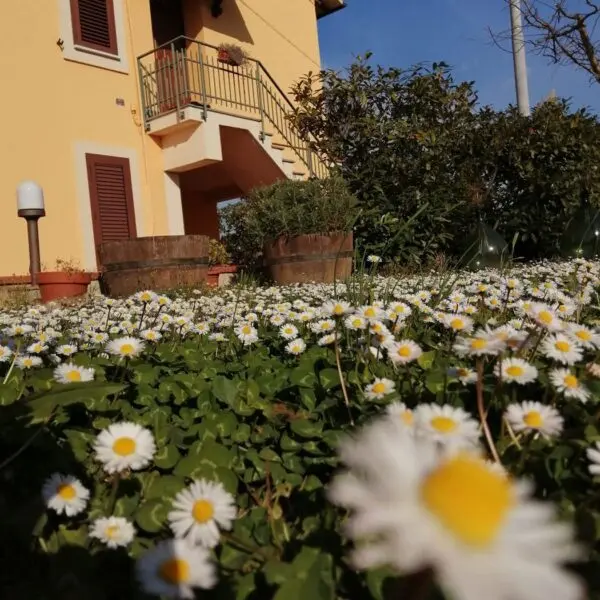 Villa Narni