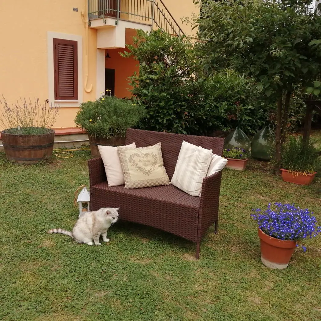 Immagine per Villa in vendita a Narni