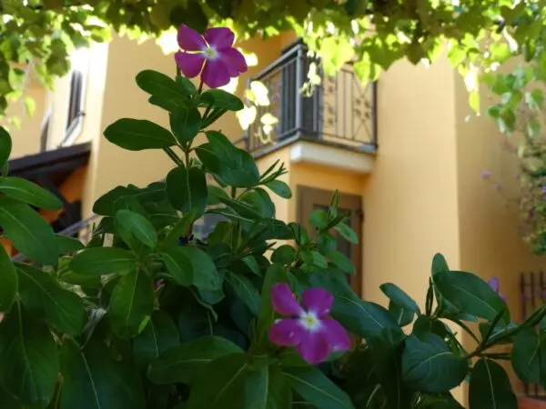 Villa Narni