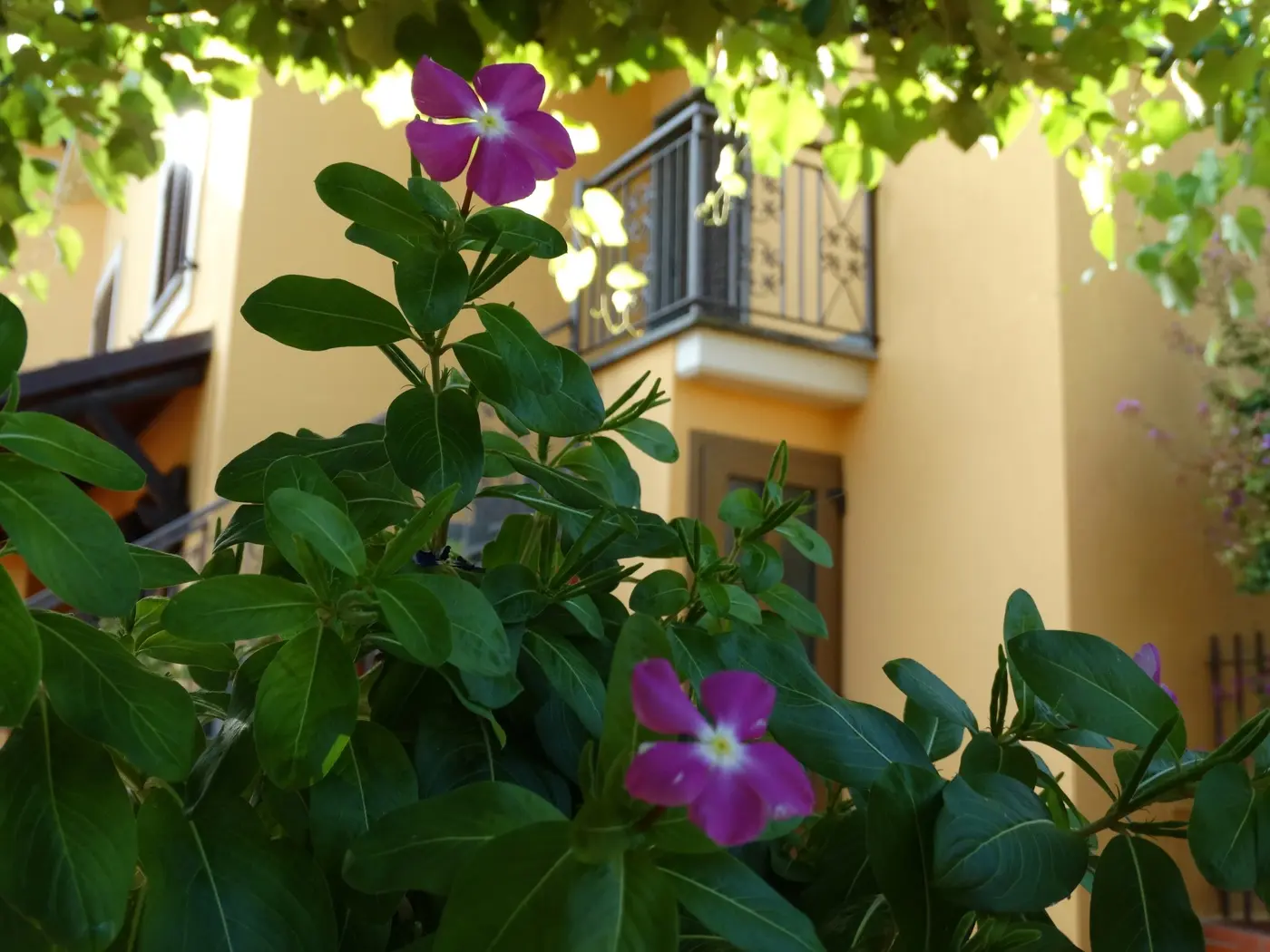 Immagine per Villa in vendita a Narni