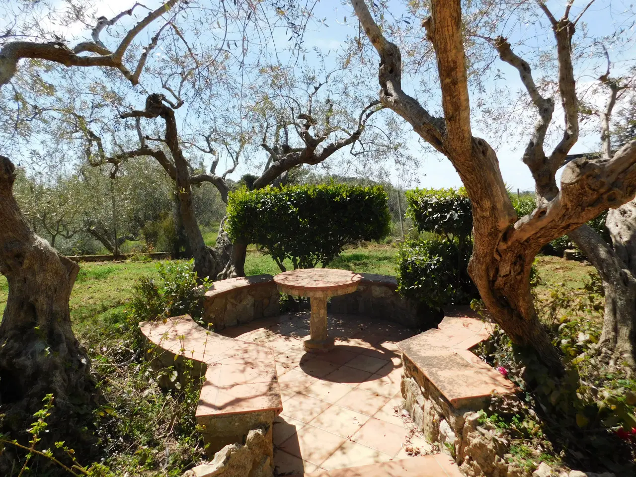 Immagine per Villa in Vendita a Piazza Armerina Contrada Scarante