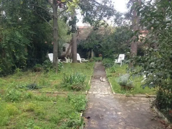 Terratetto viale Marconi, Livorno
