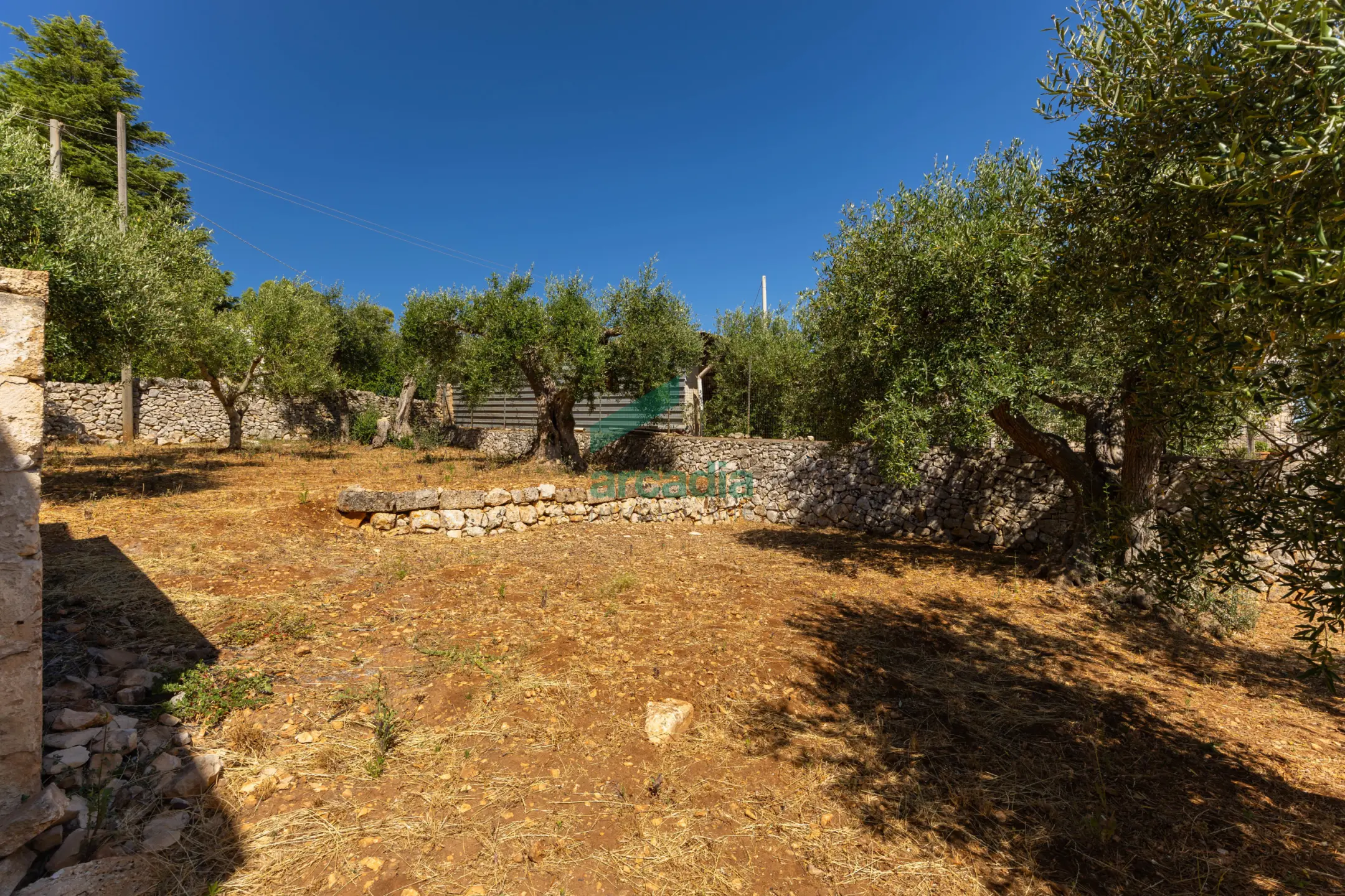 Immagine per Casale in vendita a Locorotondo via Contrada Mancini 16