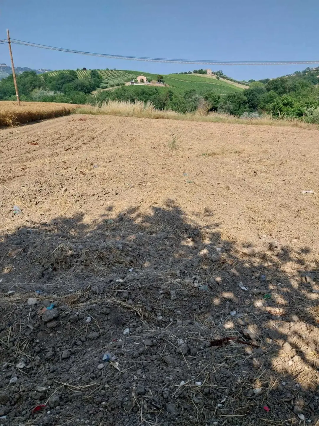Immagine per Villa trifamiliare in vendita a Offida via Contrada Tesino