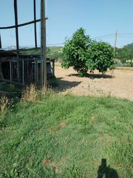 Villa Trifamiliare via Contrada Tesino, Offida