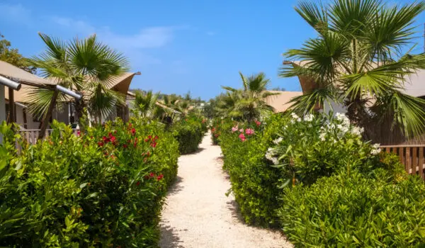 Immagine per Stabilimento Balneare in vendita a Grottammare strada Statale 16