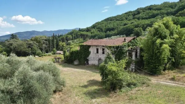 Casale 529, Lucca
