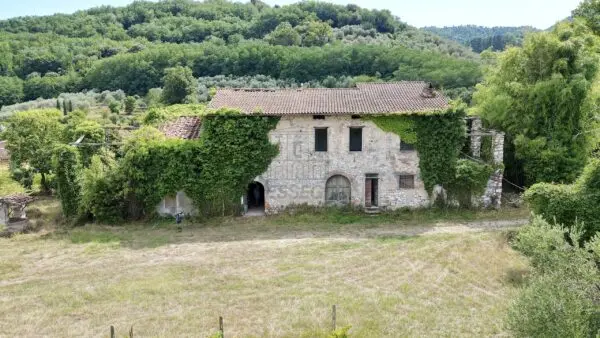 Casale 529, Lucca