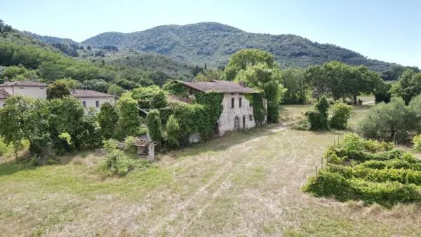 Casale 529, Lucca