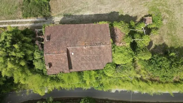 Casale 529, Lucca