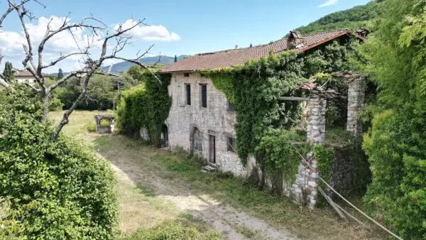 Casale 529, Lucca