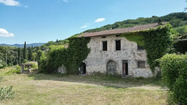 Casale 529, Lucca