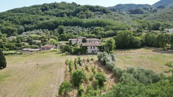 Casale 529, Lucca