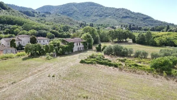 Casale 529, Lucca