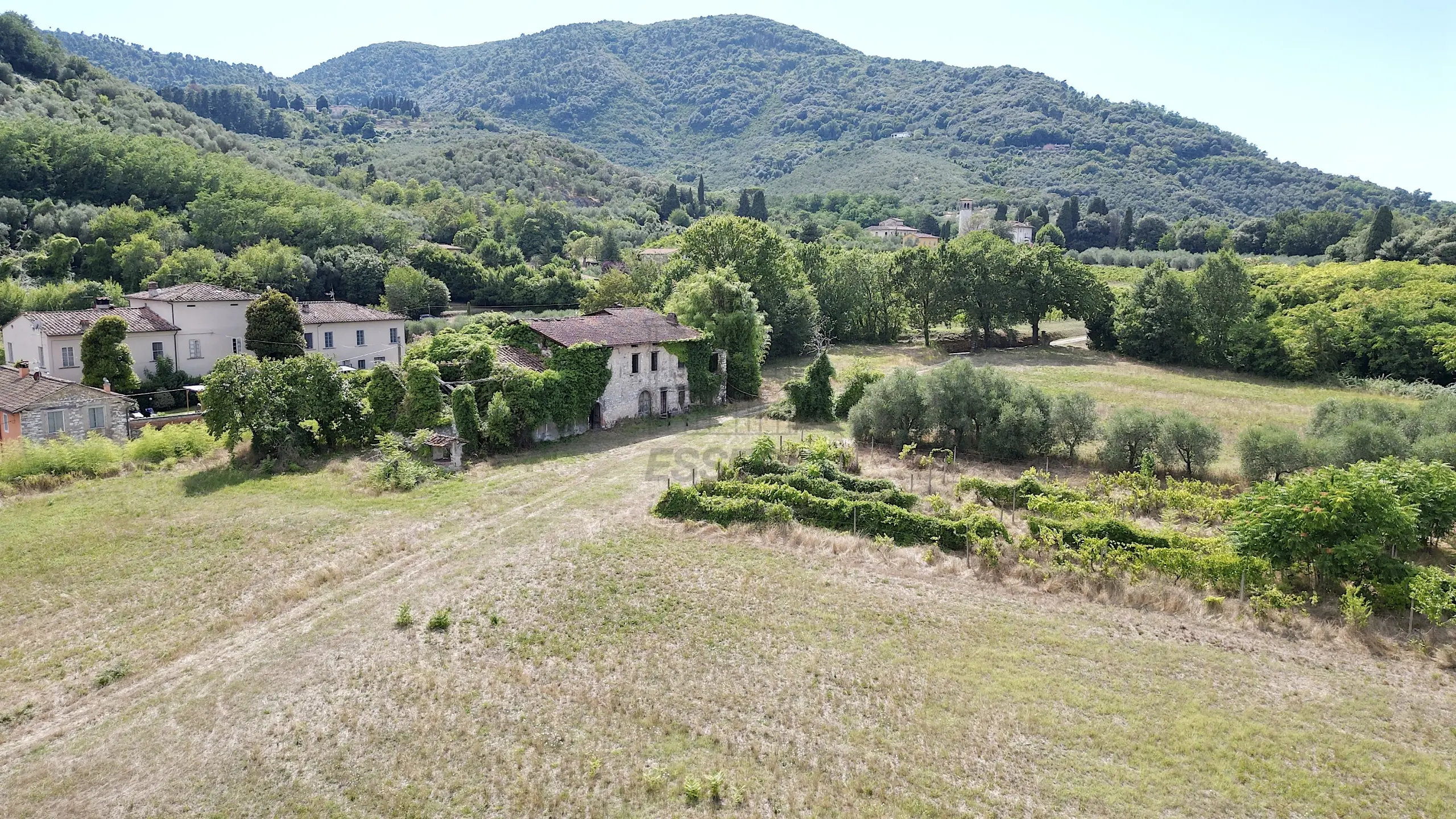 Immagine per Casale in vendita a Lucca 529