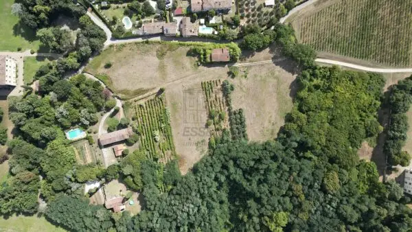 Casale 529, Lucca