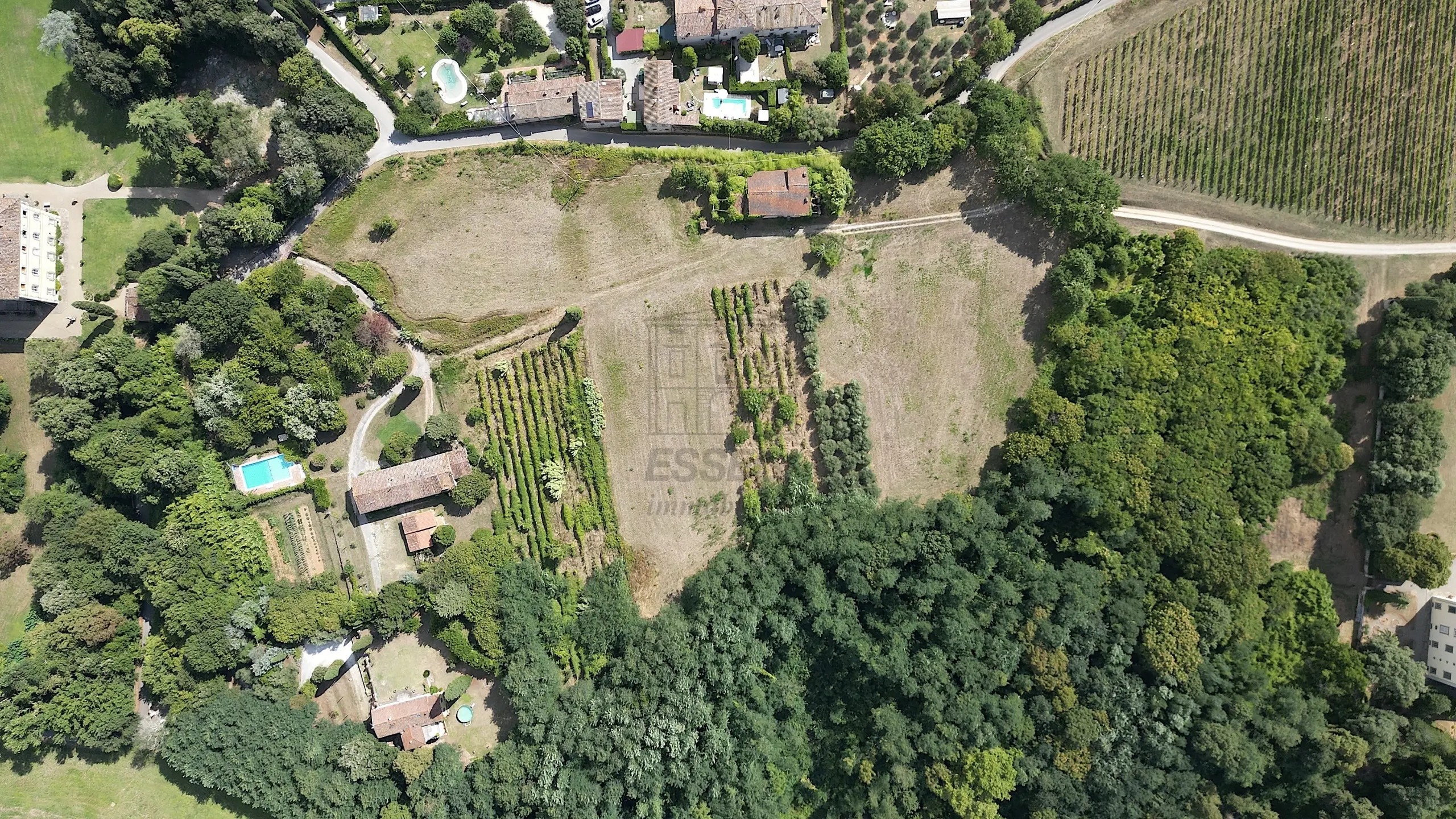 Immagine per Casale in vendita a Lucca 529