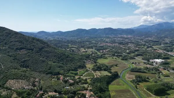 Casale 529, Lucca