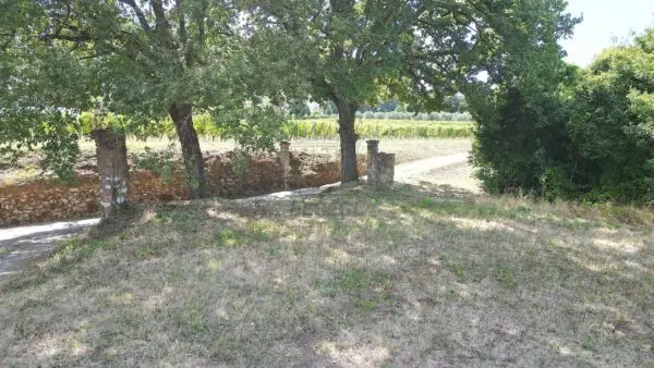 Casale 529, Lucca