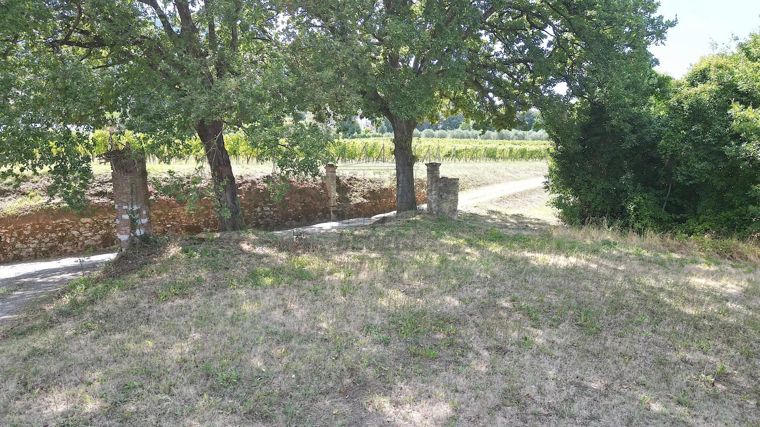Immagine per Casale in vendita a Lucca 529