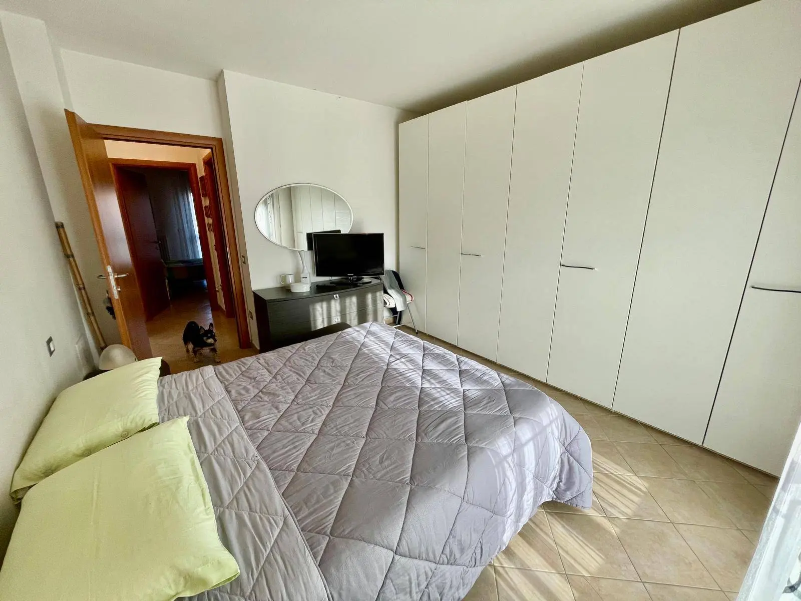 Immagine per Appartamento in vendita a Alessandria  