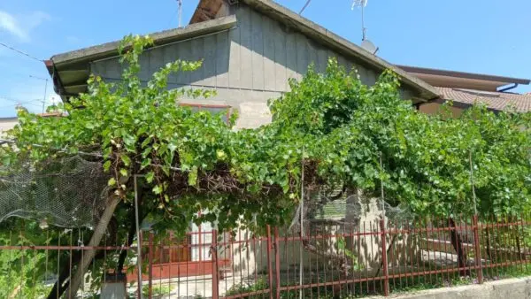 Casa Indipendente via Dell Argine 1, Cattolica