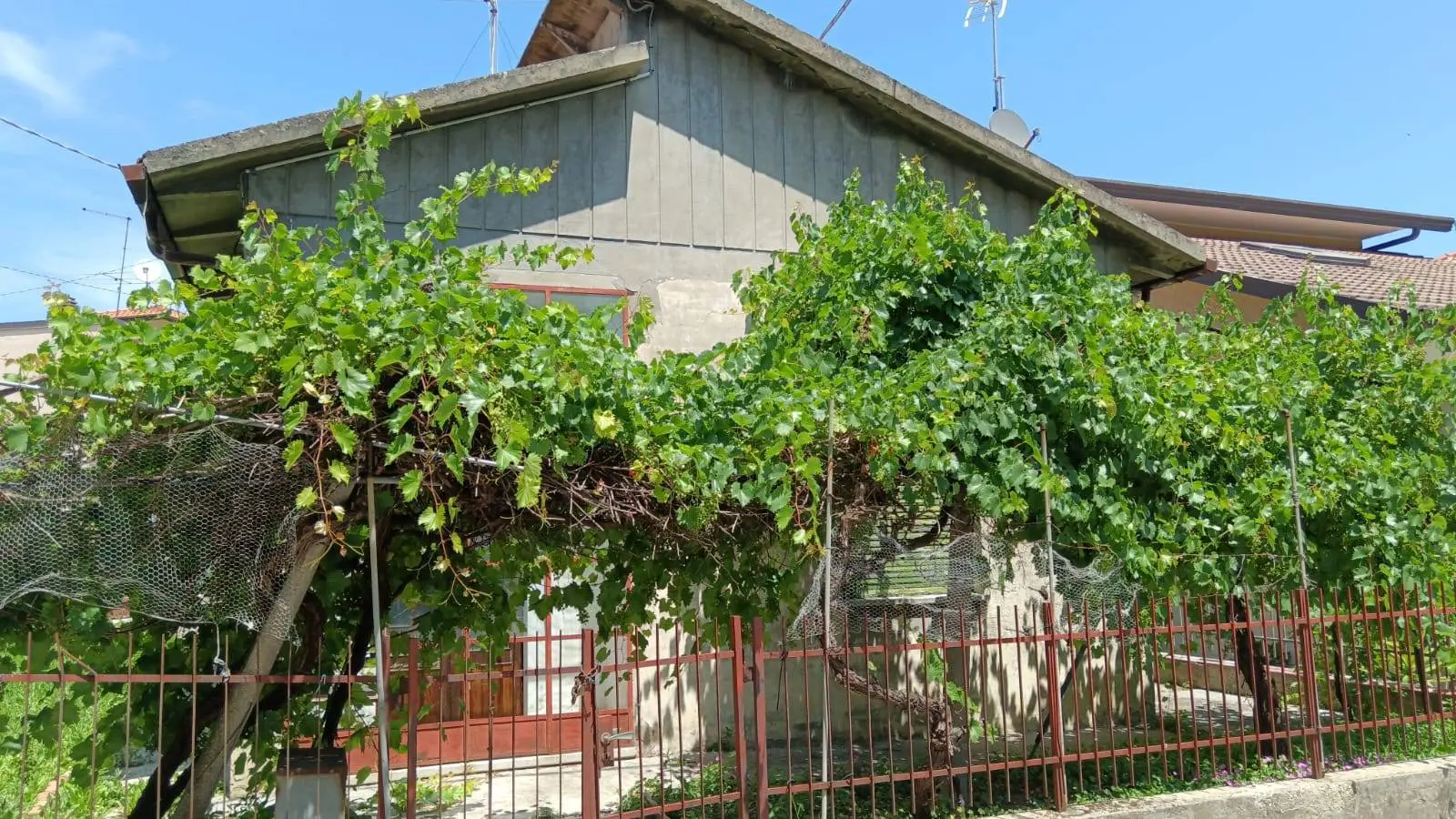Immagine per Casa indipendente in vendita a Cattolica via dell argine 1