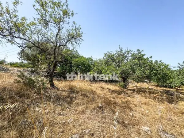 Terreno Agricolo strada Statale 124, Priolo Gargallo