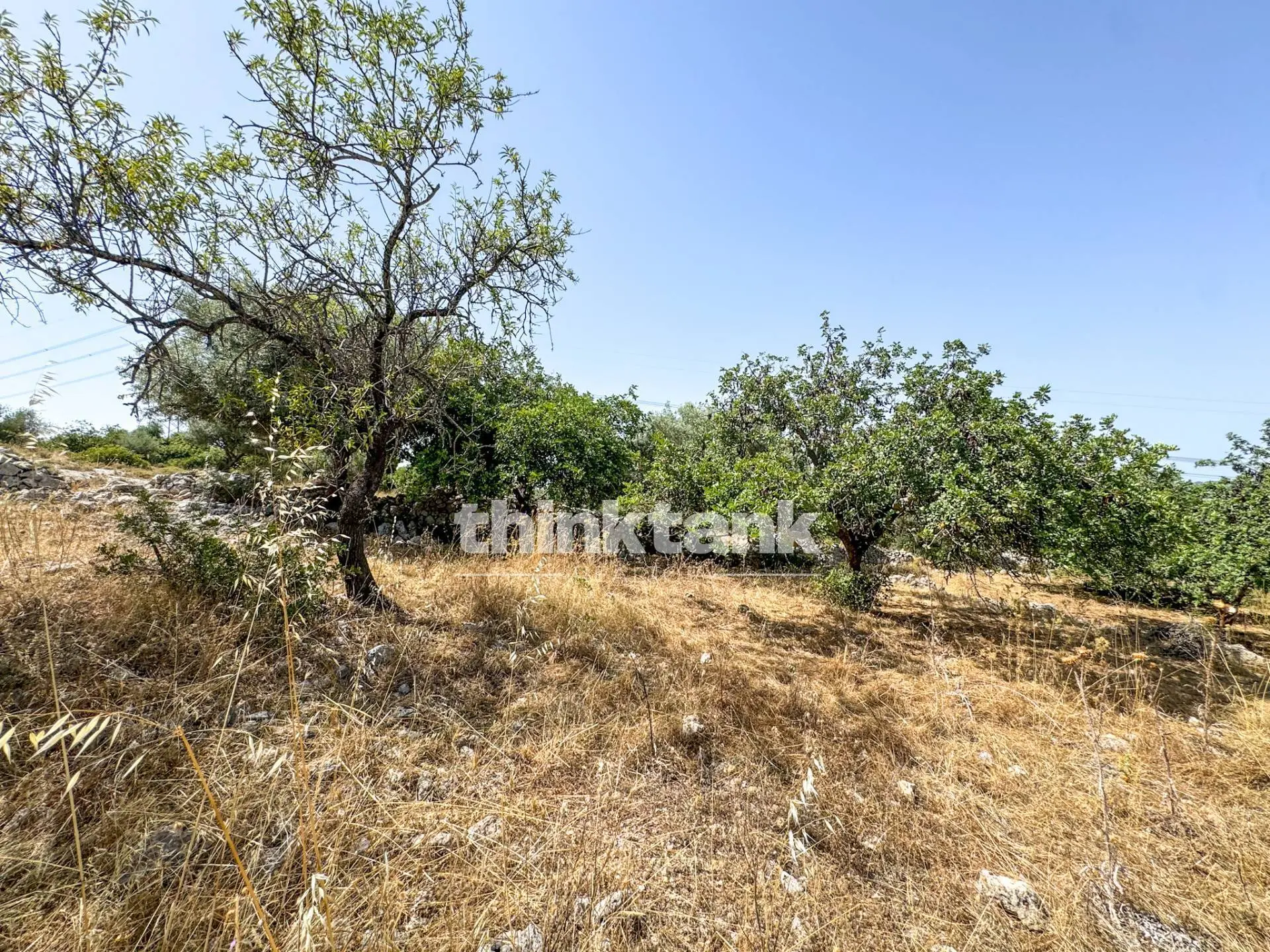 Immagine per Terreno Agricolo in vendita a Priolo Gargallo Strada Statale 124 