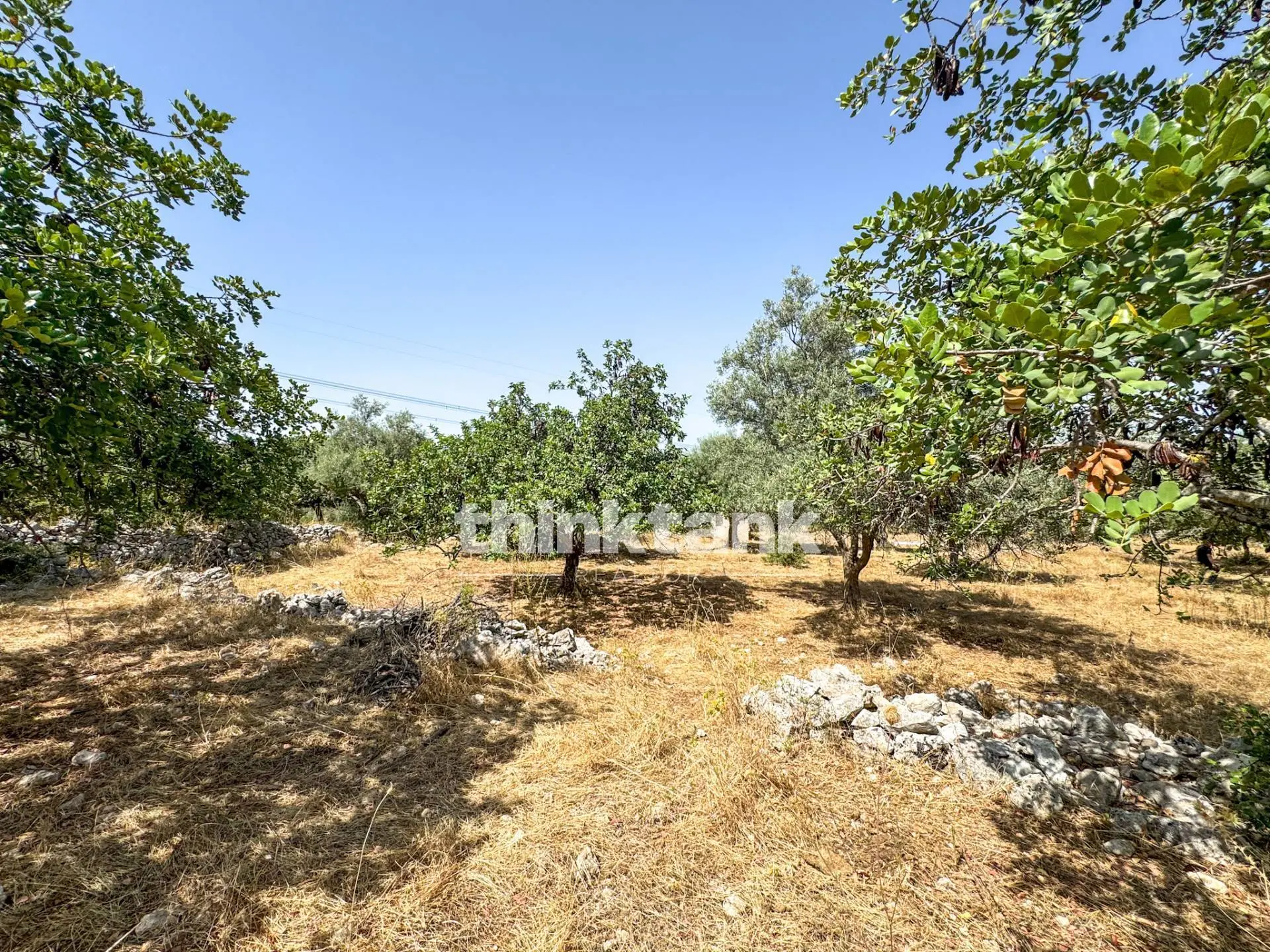 Immagine per Terreno Agricolo in vendita a Priolo Gargallo Strada Statale 124 